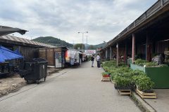 IMG_4856