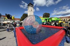 IMG_0826