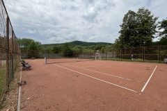 IMG_4137