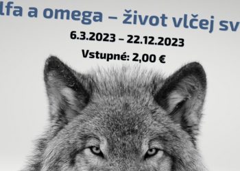 Alfa a omega – život vlčej svorky