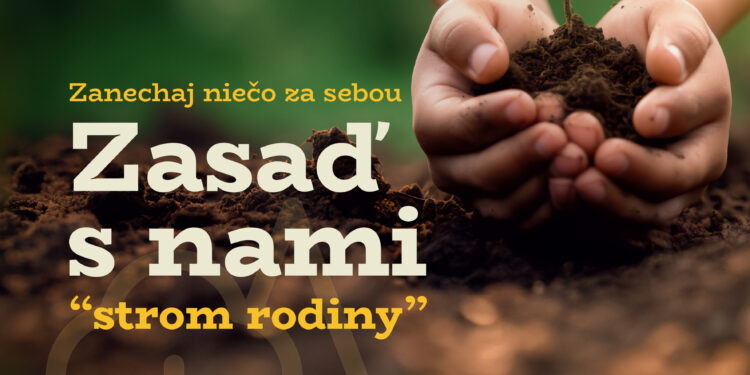 Zasaď s nami Strom rodiny a zanechaj odkaz pre budúce generácie!