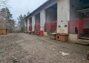 Participatívny rozpočet 2026 podporí 6 projektov