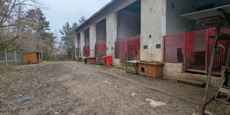 Participatívny rozpočet 2026 podporí 6 projektov